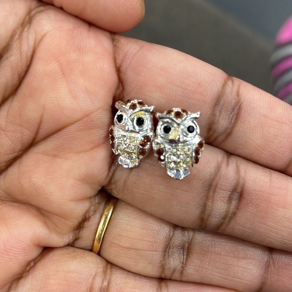 Elegant Owl Earrings in Silver